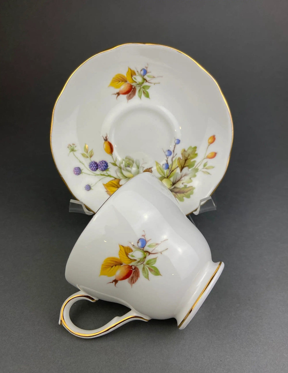 Duchess Fine Bone China Tea Cup and Saucer | Autumn Motif | Collectible Vintage | Collectors & Hosts