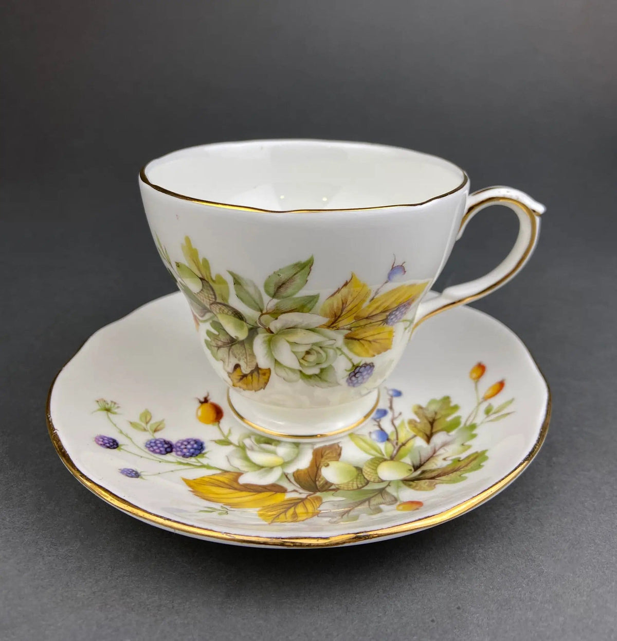 Duchess Fine Bone China Tea Cup and Saucer | Autumn Motif | Collectible Vintage | Collectors & Hosts