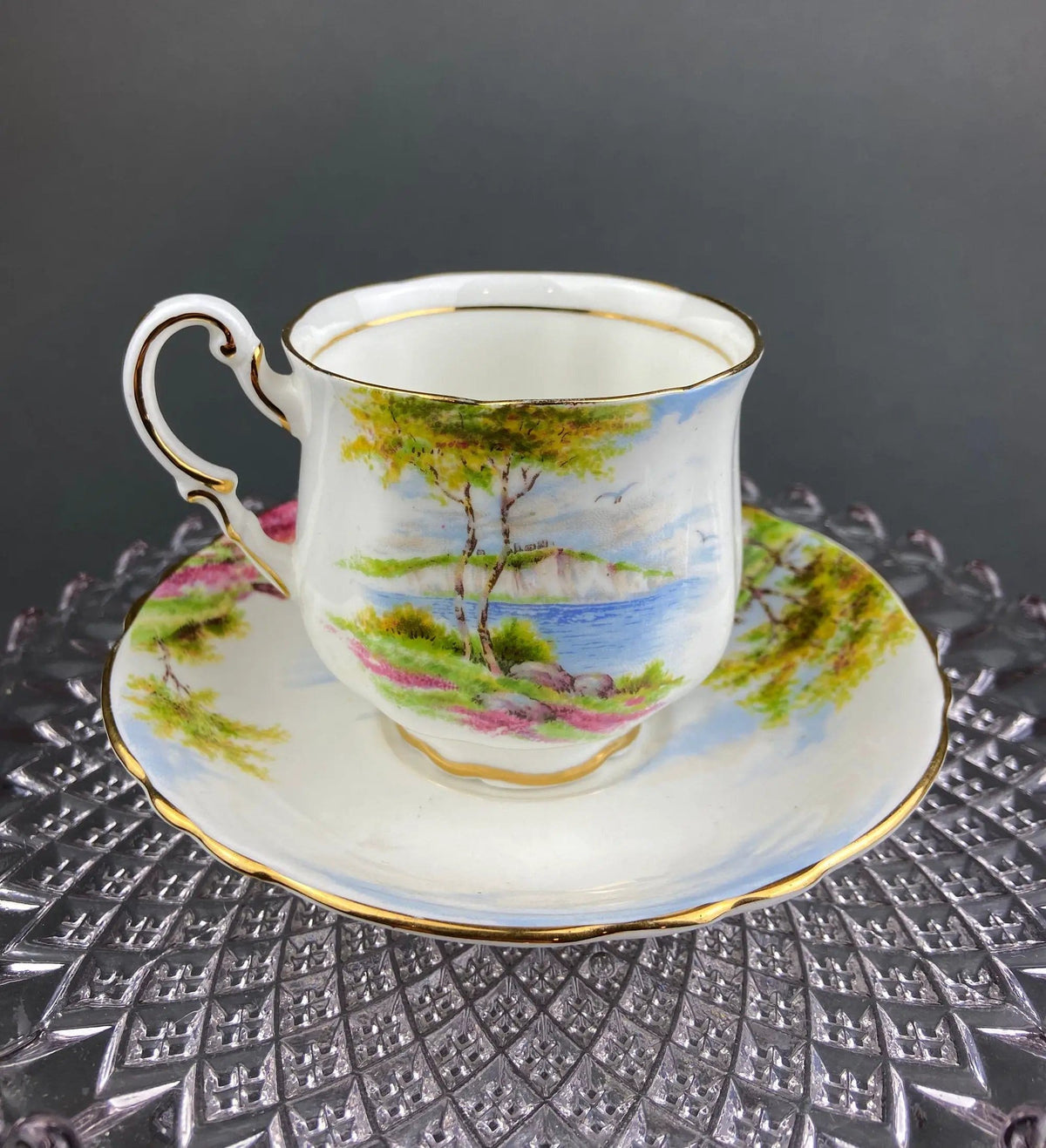 Tea Cup And Saucer | Royal Vale | English Cottage Garden | Plum Pattern