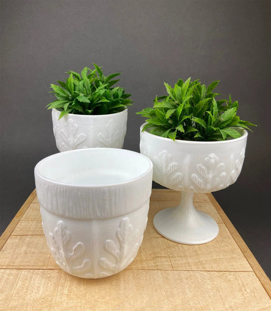 Milk Glass Oak Leaf Motif Planters | Set of Three Differently Shaped Vases | White Herb Pots | Collectors & Hosts