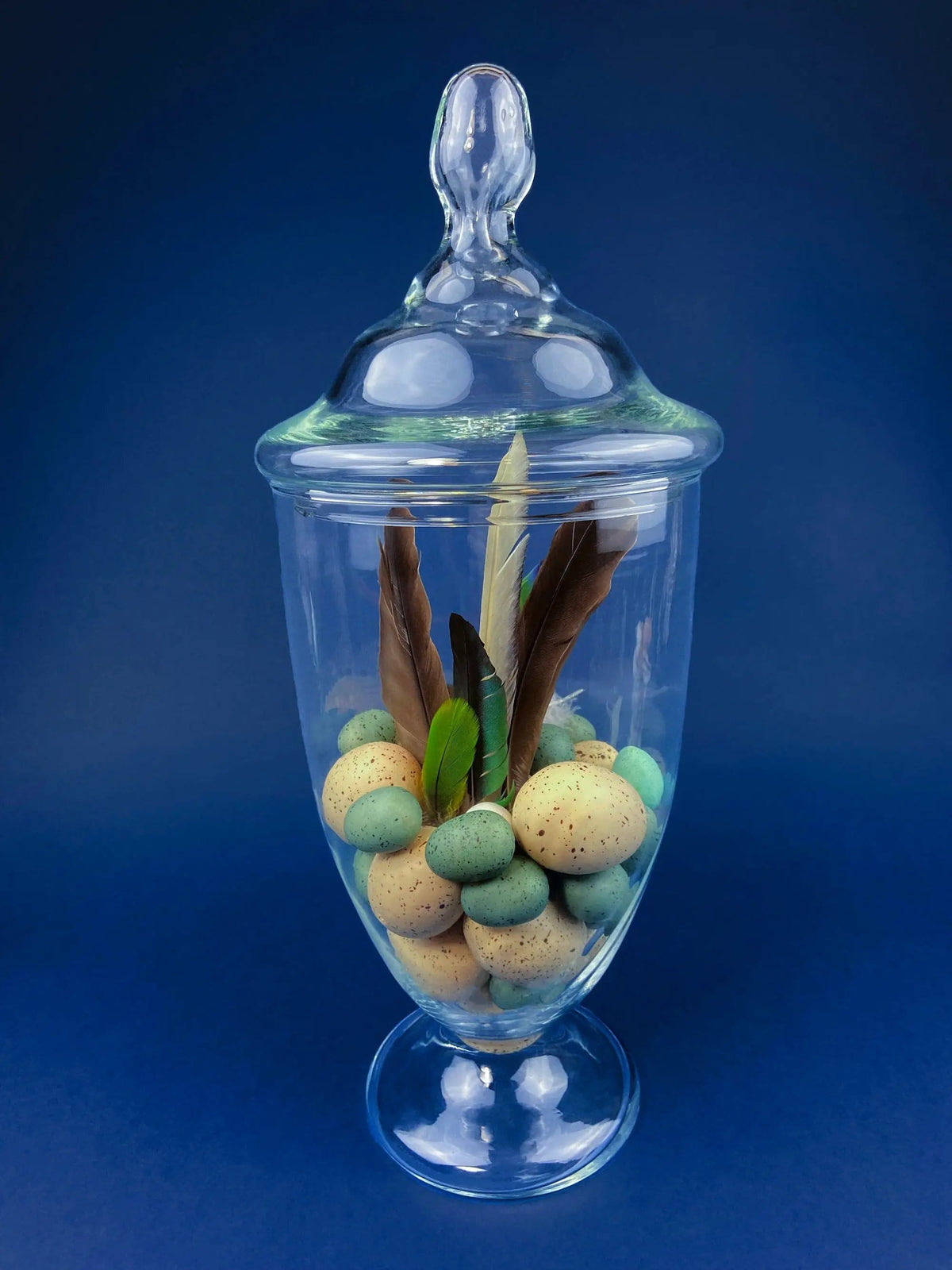 Large Lidded Apothecary with Eggs and Feathers | Alternative Spring/Easter Decor | Footed, Glass Storage Jar | Collectors & Hosts