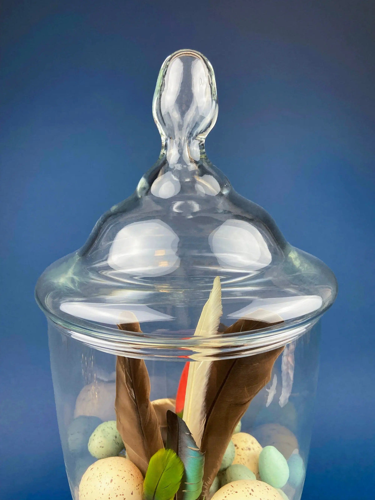 Large Lidded Apothecary with Eggs and Feathers | Alternative Spring/Easter Decor | Footed, Glass Storage Jar | Collectors & Hosts