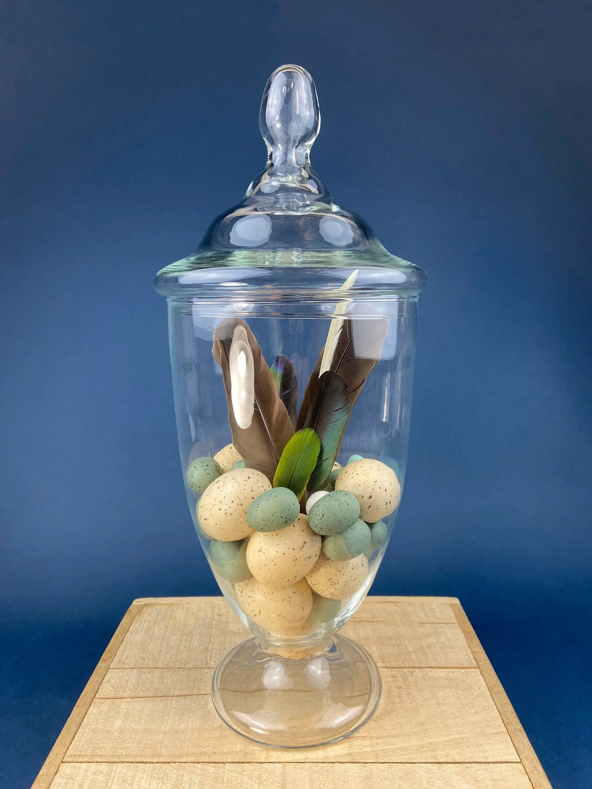 Large Lidded Apothecary with Eggs and Feathers | Alternative Spring/Easter Decor | Footed, Glass Storage Jar | Collectors & Hosts