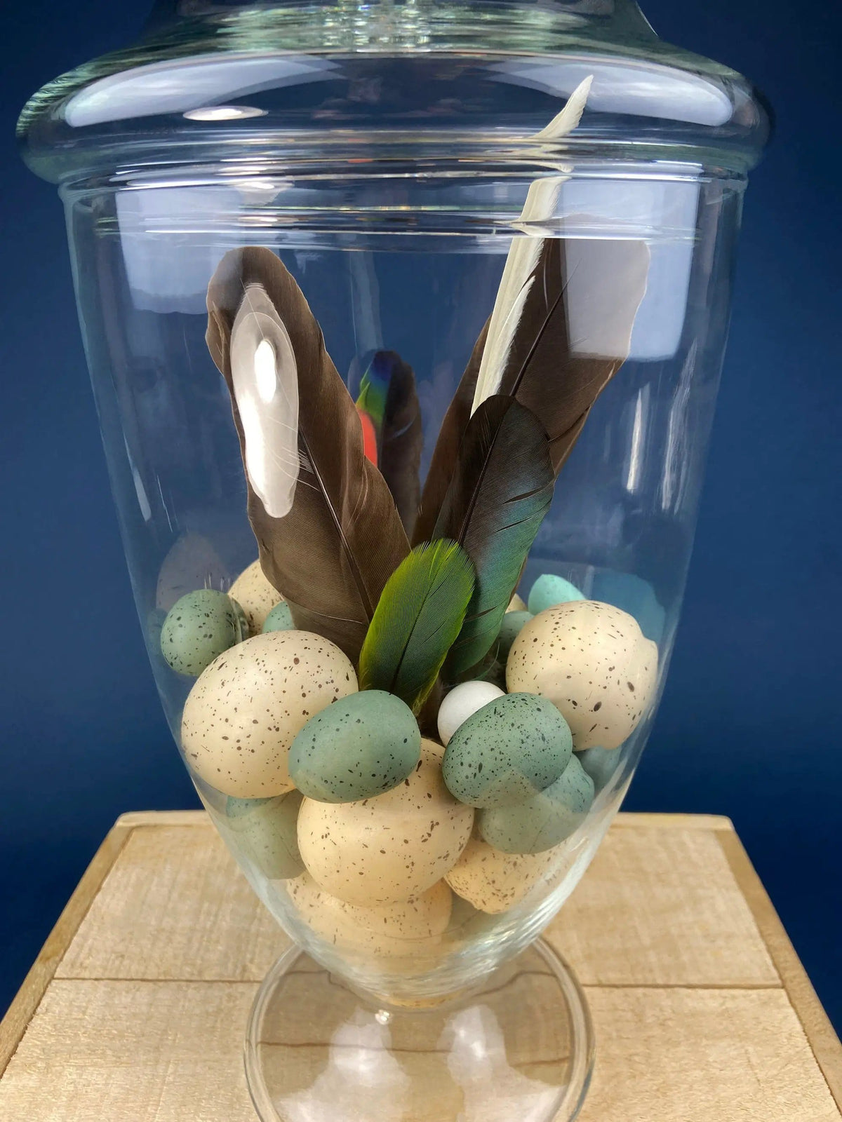 Large Lidded Apothecary with Eggs and Feathers | Alternative Spring/Easter Decor | Footed, Glass Storage Jar | Collectors & Hosts