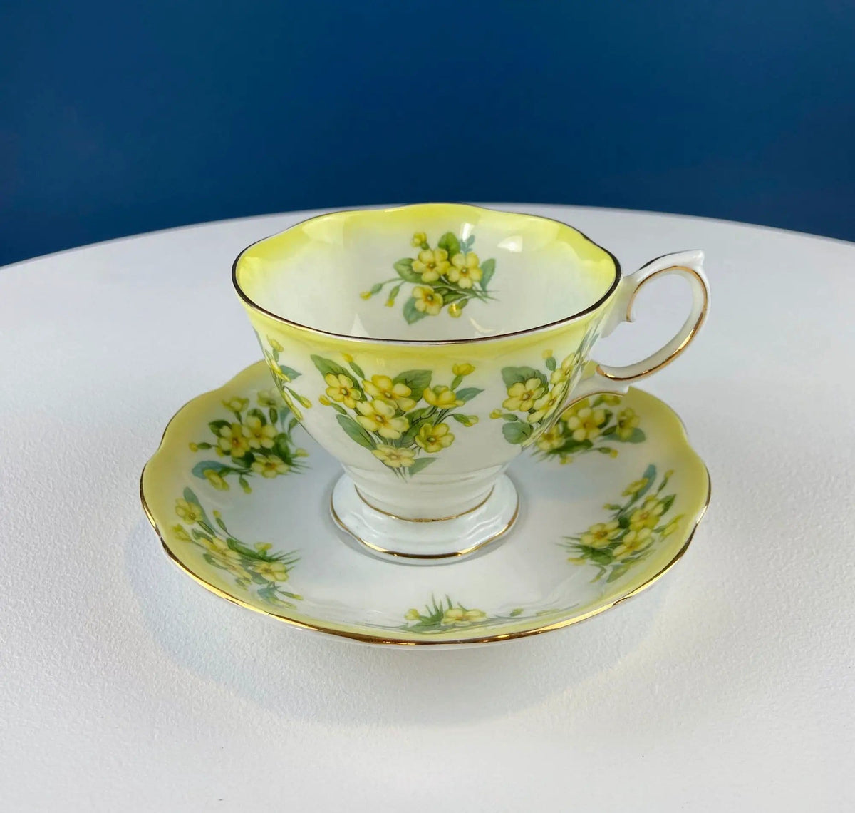 Vintage Teacup or Coffee Cup and Saucer by Royal Albert | Dainty Dina Series, Mary | Hand Painted Roses | Collectors & Hosts
