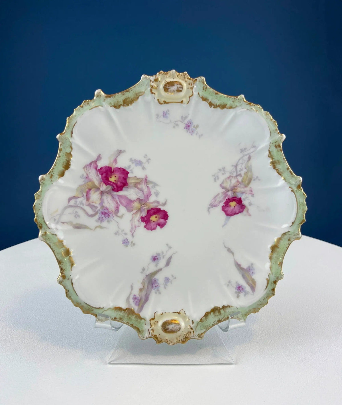 Oval Haviland Limoges Platter with Scalloped Edge | Stunning Porcelain Serving Dish | Wild Roses Motif | Collectors & Hosts