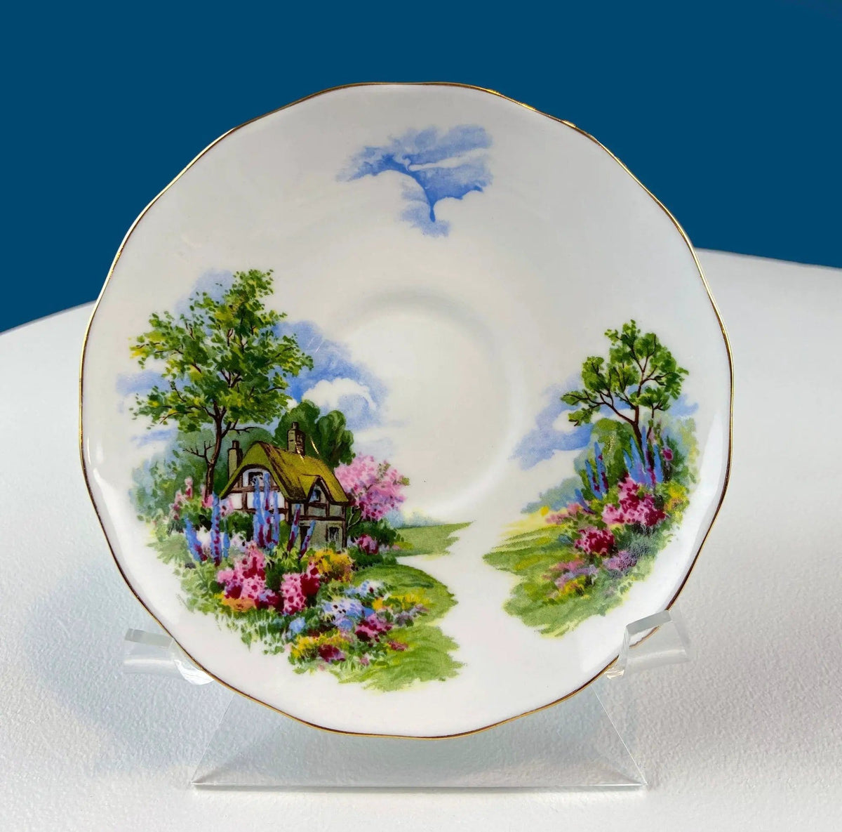 Tea Cup And Saucer | Royal Vale | English Cottage Garden | Plum Pattern