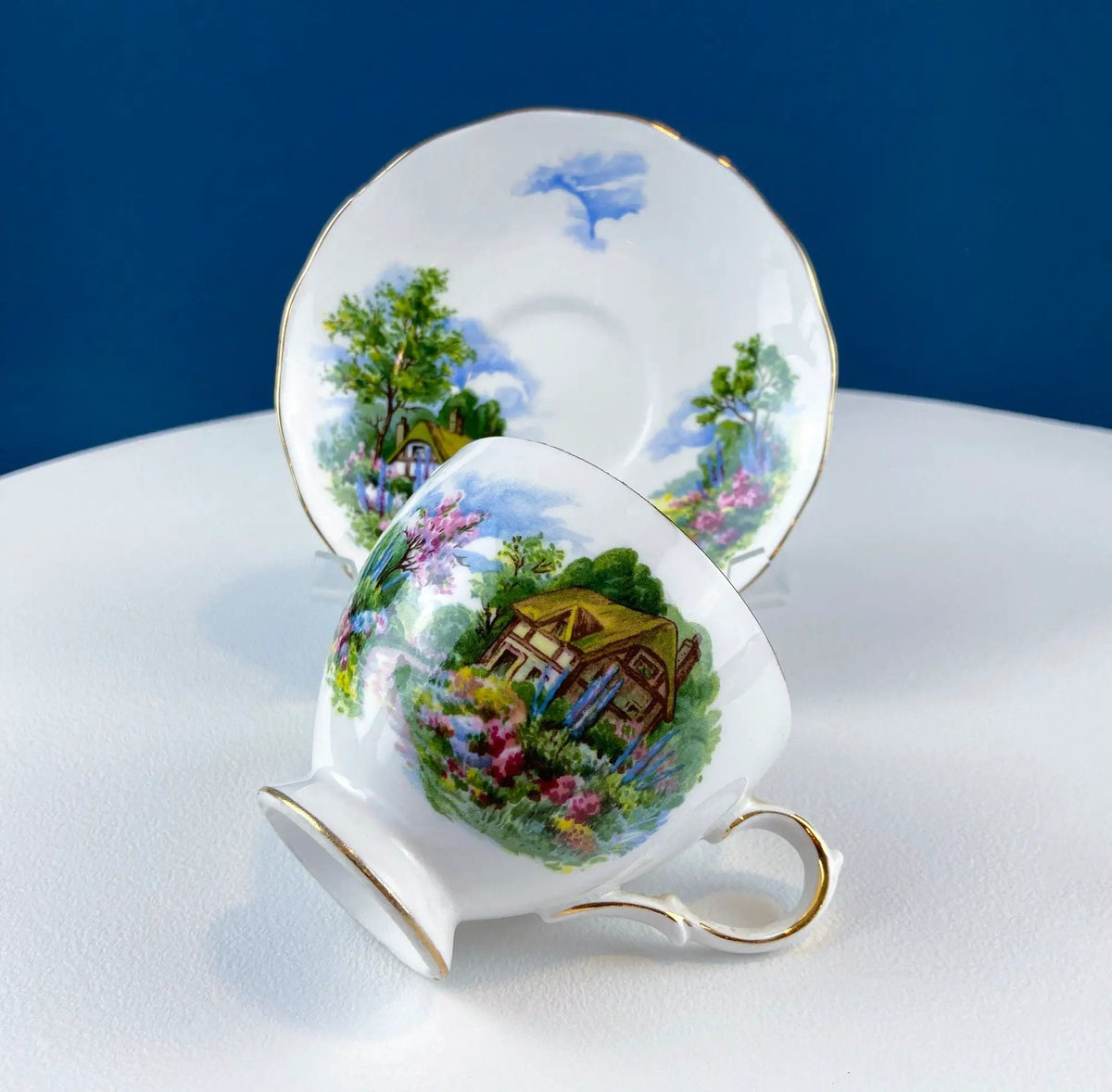 Tea Cup And Saucer | Royal Vale | English Cottage Garden | Plum Pattern