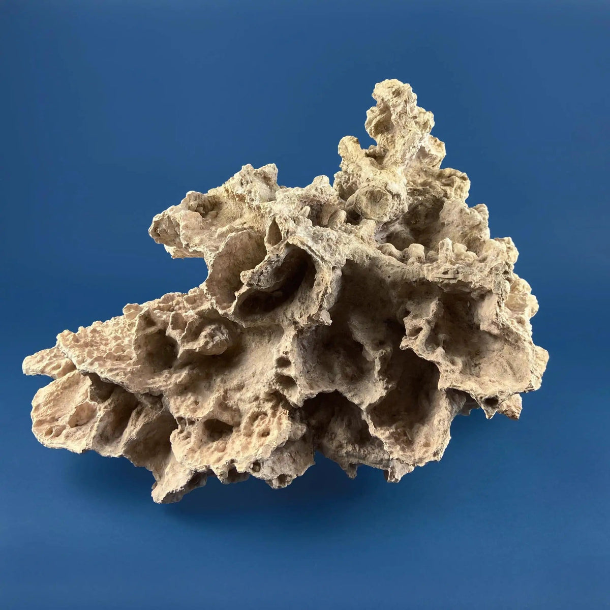 Imitation Coral Sculpture for Coastal Themed Home Rock Garden Aquarium | Vacation Property Tropical Display | Collectible Vintage | Gift for Dad, Fisherman