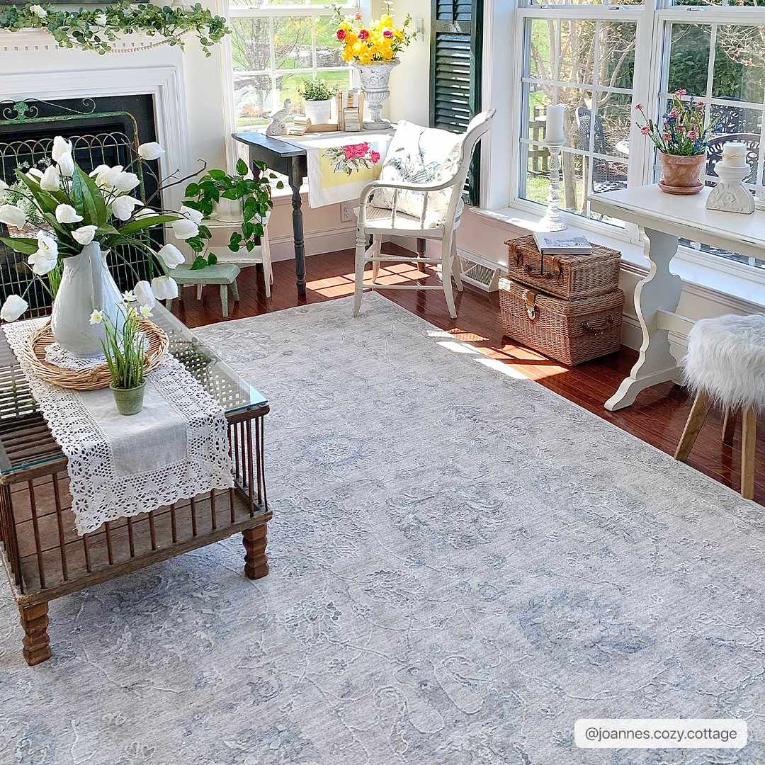 Albuquerque Area Rug from PriceLows™