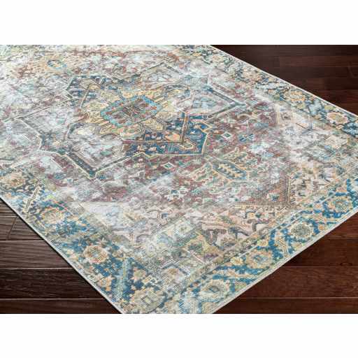 Blue Catigpian Distressed Washable Area Rug from PriceLows™