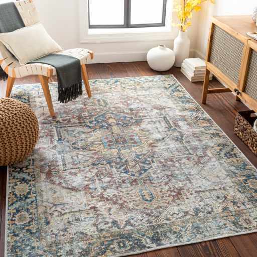 Blue Catigpian Distressed Washable Area Rug from PriceLows™