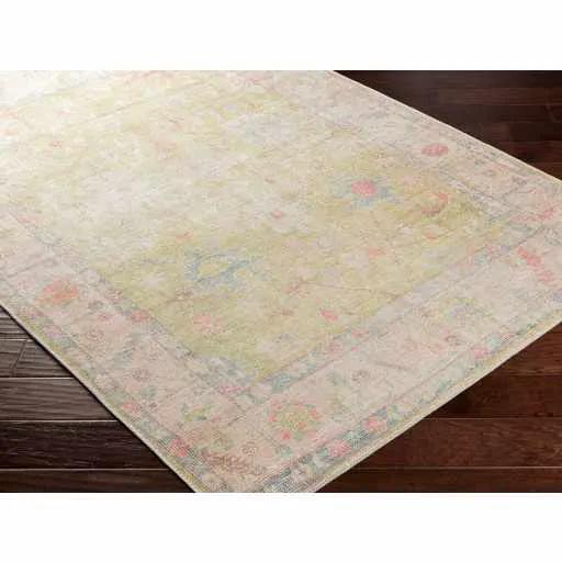 Bozkurt Distressed Washable Rug from PriceLows™