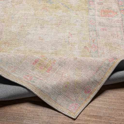 Bozkurt Distressed Washable Rug from PriceLows™