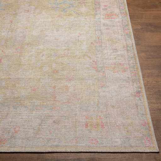 Bozkurt Distressed Washable Rug from PriceLows™