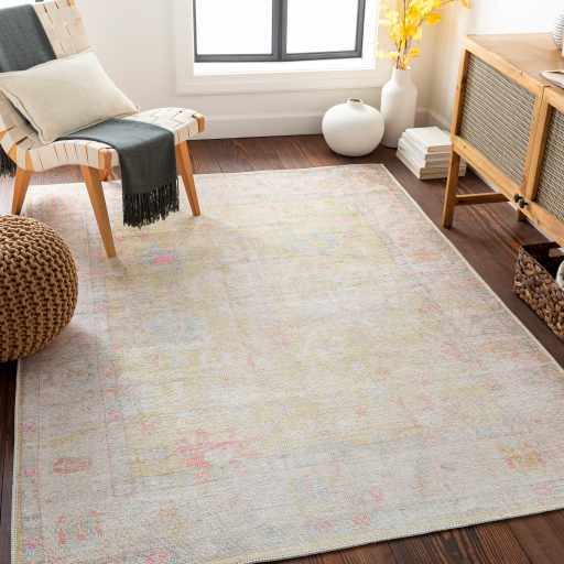 Bozkurt Distressed Washable Rug from PriceLows™
