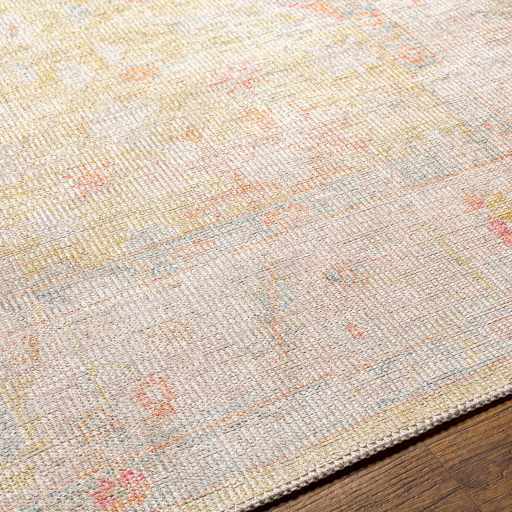 Bozkurt Distressed Washable Rug from PriceLows™