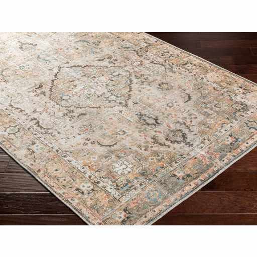 Brown Standon Vintage Washable Area Rug from PriceLows™