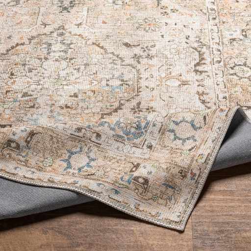 Brown Standon Vintage Washable Area Rug from PriceLows™