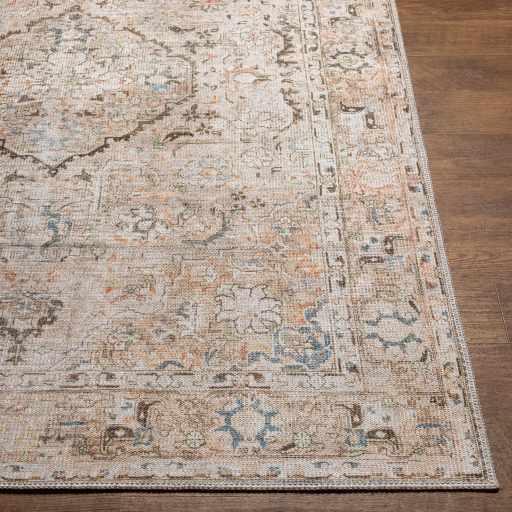 Brown Standon Vintage Washable Area Rug from PriceLows™