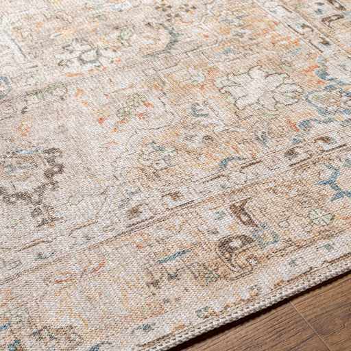 Brown Standon Vintage Washable Area Rug from PriceLows™