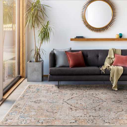 Brown Standon Vintage Washable Area Rug from PriceLows™