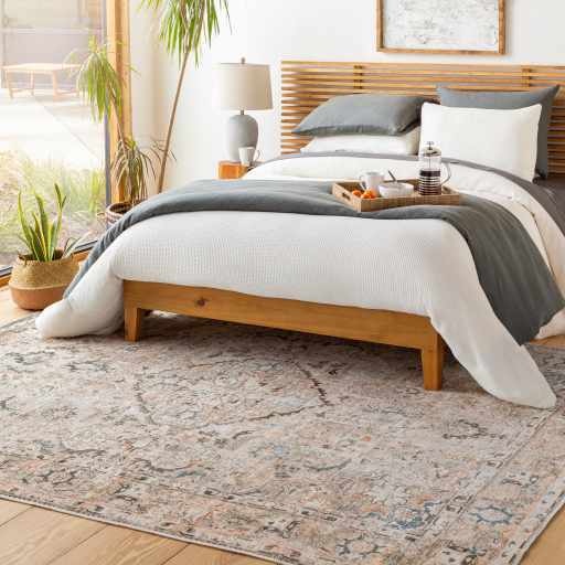 Brown Standon Vintage Washable Area Rug from PriceLows™