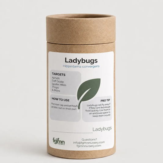 Ladybugs from PriceLows™