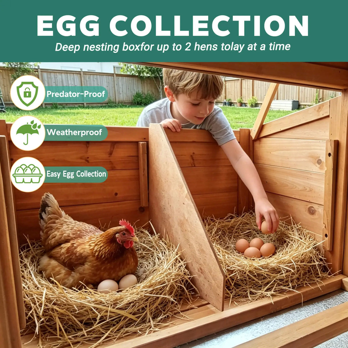 Large Chicken Coop With Run | 122 Inch | Nest Box And Removable Tray | Fits 4 To 6 Hens
