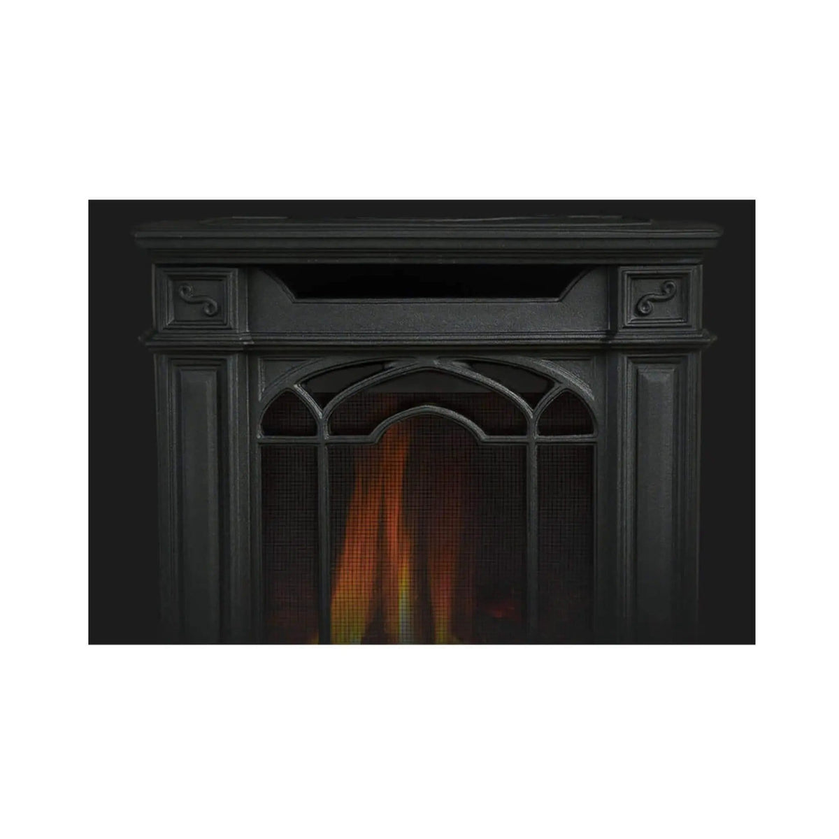 Napoleon Arlington 20 19-Inch Cast Iron Direct Vent Metallic Black Natural Gas Stove | 19 Inch | Iron | Wood Stove