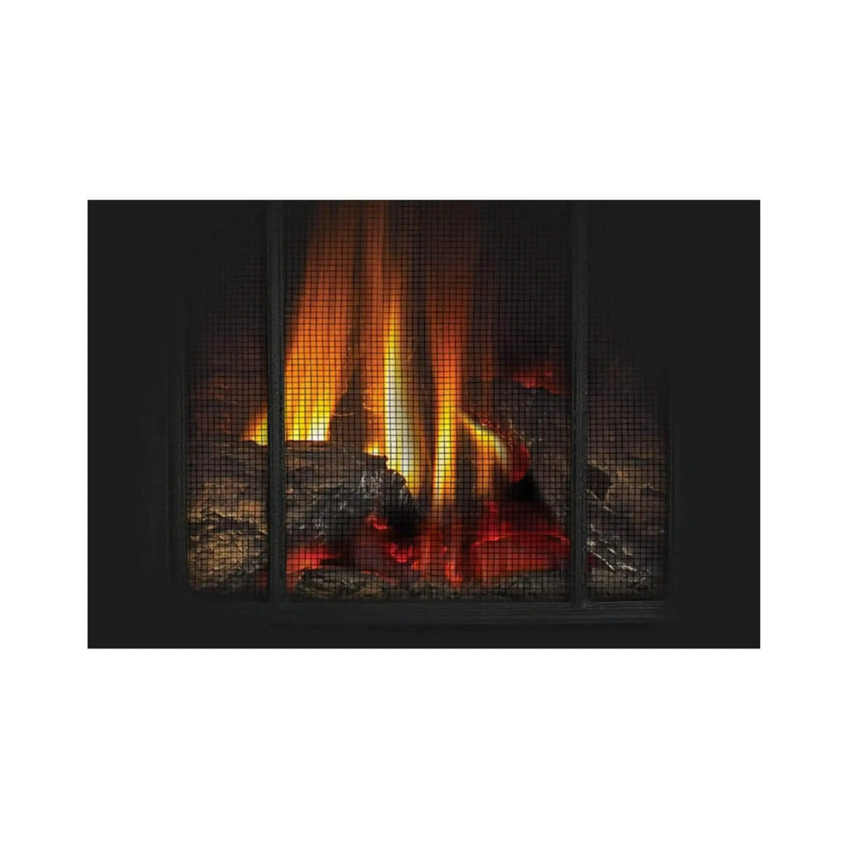Napoleon Arlington 20 19-Inch Cast Iron Direct Vent Metallic Black Natural Gas Stove | 19 Inch | Iron | Wood Stove