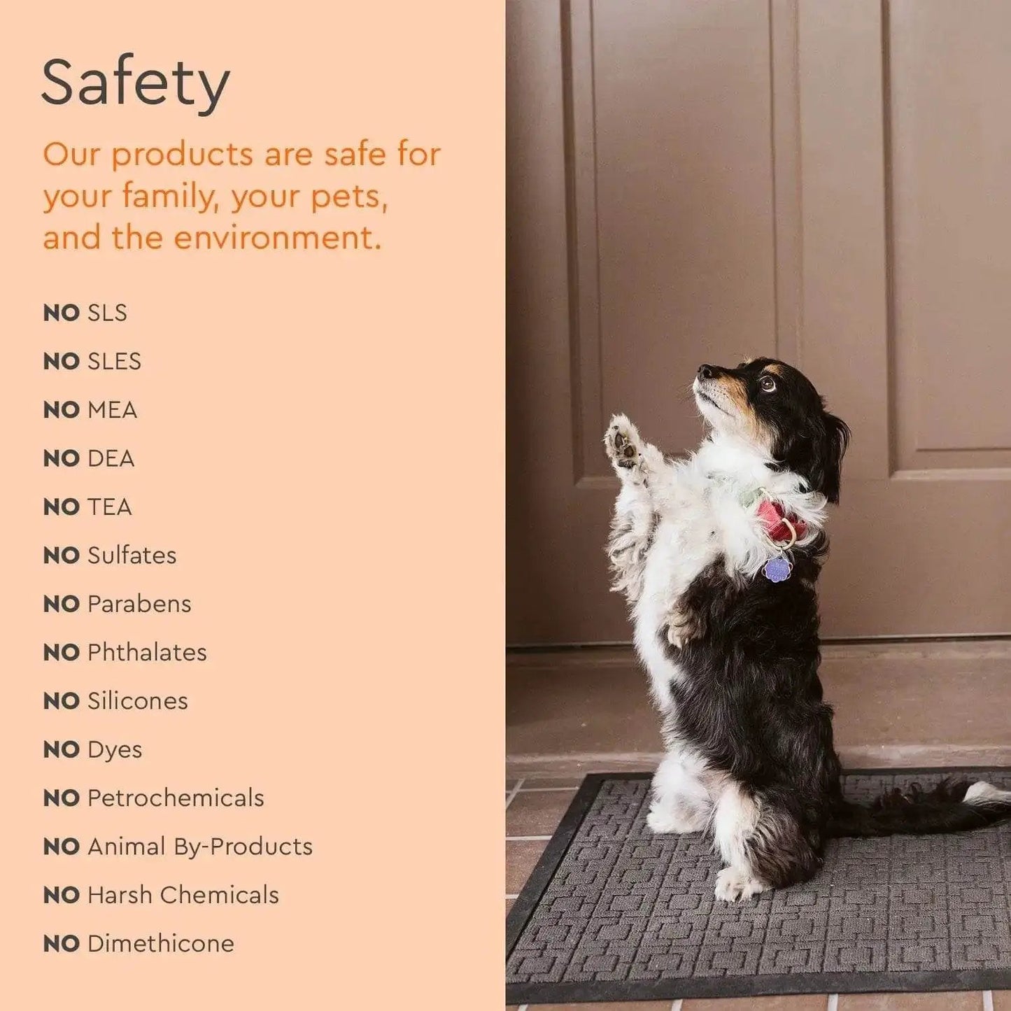 Pet Stain & Odor Remover from PriceLows™